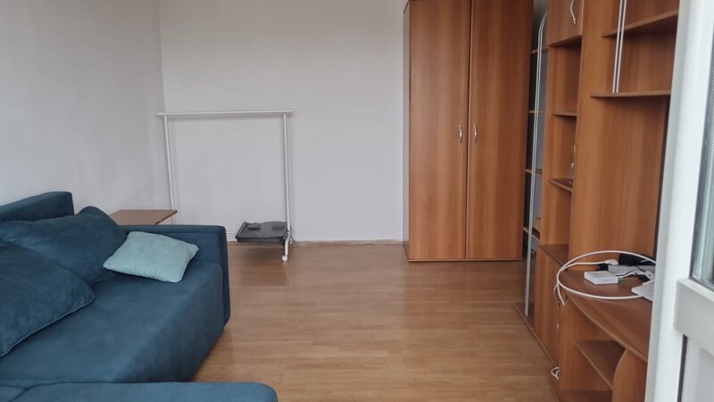 Bucur Obor, Colentina, Teiul Doamnei