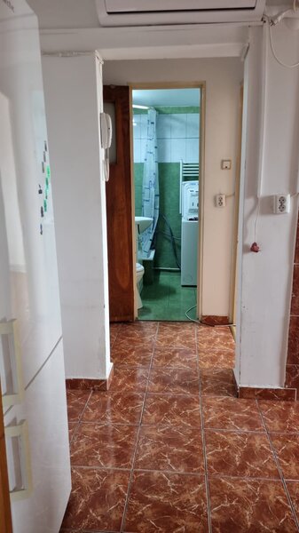 Bucur Obor, Colentina, Teiul Doamnei