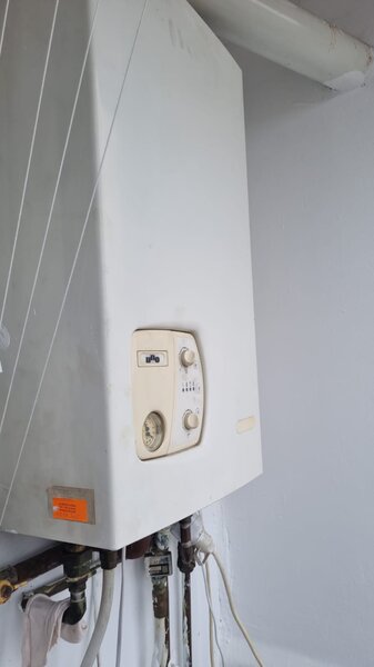 Bucur Obor, Colentina, Teiul Doamnei