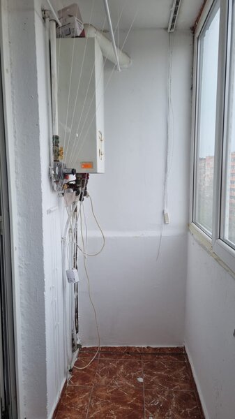 Bucur Obor, Colentina, Teiul Doamnei