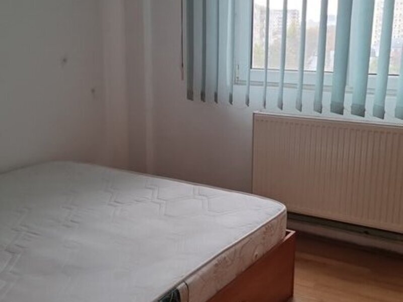 Bucur Obor, Colentina, Teiul Doamnei