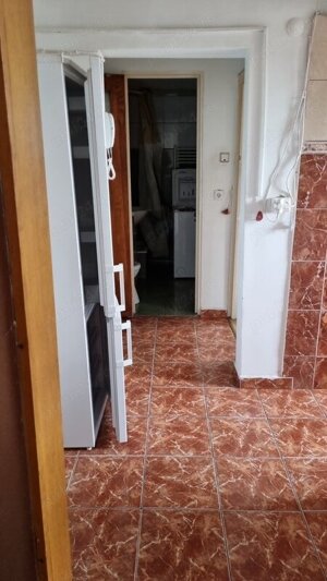 Bucur Obor, Colentina, Teiul Doamnei