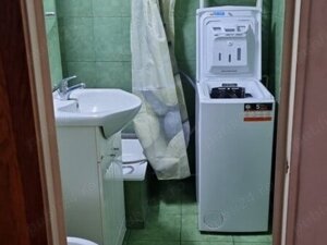 Bucur Obor, Colentina, Teiul Doamnei